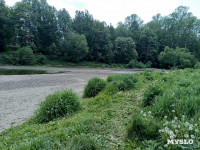 Пруд в Рогожинском парке продолжает мелеть - туляки, Фото: 6