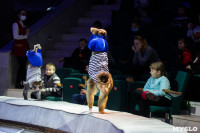 Премьера новогоднего шоу в Тульском цирке, Фото: 22
