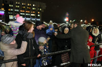 Открытие главной ёлки на площади Ленина, Фото: 20