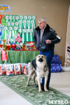 Выставка собак в Туле, Фото: 47