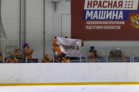Команда ЕВРАЗ обыграла соперников в отборочном матче Тульской любительской хоккейной Лиги, Фото: 18