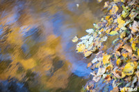 Золотая осень по-тульски, Фото: 79