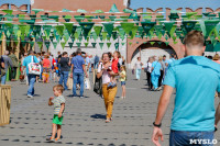Фестиваль СВОЕ в Тульском кремле, Фото: 21