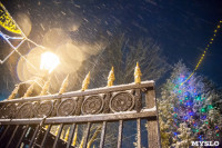 Зимняя сказка в Центральном парке, Фото: 32