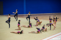 Соревнования по эстетической гимнастике «Кубок Роксэт», Фото: 109