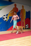 В Туле прошла выставка собак всех пород, Фото: 110