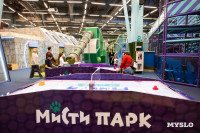 День добра в «Мисти парке»: игры, улыбки и море развлечений, Фото: 42