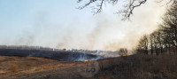 Рядом с микрорайоном полыхает поле: огонь растянулся примерно на километр, Фото: 3