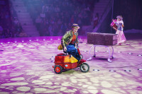 Премьера в Тульском цирке: шоу фонтанов «13 месяцев» удивит вас!, Фото: 28