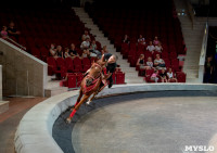 «В Тульском цирке прошла открытая репетиция программы «Цирк зажигает огни», Фото: 72