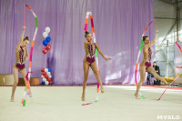 Всероссийские соревнования по художественной гимнастике на призы Посевиной, Фото: 94