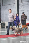 Выставка собак в Туле 26.01, Фото: 20