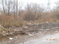 Ситуация с уборкой мусора в Пролетарском районе, Фото: 2