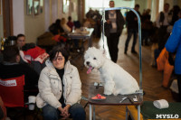 Выставка собак в Туле, 29.11.2015, Фото: 86