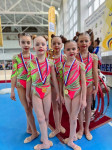 Тульские гимнастки завоевали медали на чемпионате Калужской области, Фото: 8