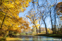 Золотая осень в Ясной Поляне, Фото: 14