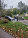 В Заречье на припаркованный автомобиль упало дерево, Фото: 6