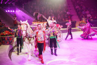 Шоу Гии Эрадзе «5 континентов» в Тульском цирке: феерия уже началась!, Фото: 40