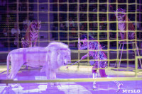 На каникулах – в Цирк больших зверей, Фото: 23