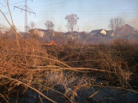 Возгорание сухой травы на ул.Комбайновая, Фото: 2