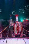 "Чудеса под Новый год" в Тульском цирке, Фото: 4