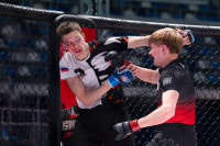 В «Тула-Арене» состоялись областные соревнования по ММА, Фото: 91