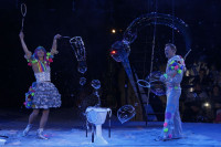 В Тульском цирке прошла премьера аква-шоу, Фото: 10