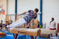 Мужская спортивная гимнастика в Туле, Фото: 32