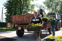 Депутаты облдумы и члены Молодежного парламента посадили цветы, Фото: 3