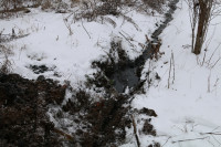 В частном секторе Пролетарского округа Тулы фекалии сливали в ливневую канализацию, Фото: 2