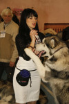 В Туле прошла всероссийская выставка собак, Фото: 8