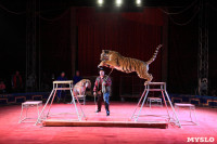 Цирк "Максимус" и тигрица в гостях у Myslo, Фото: 18