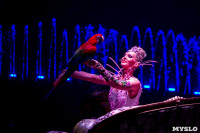 Шоу фонтанов «13 месяцев» в Тульском цирке – подарите себе и близким путевку в сказку!, Фото: 19