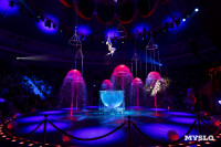 Шоу воды, огня и света, Фото: 172