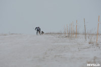 Гонки на собачьих упряжках «Большой тур» на Куликовом поле, Фото: 50
