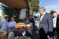 Дмитрий Миляев принял участие в фестивале «Национальный квартал», Фото: 22