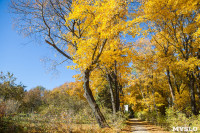 Золотая осень в Ясной Поляне, Фото: 44