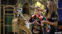 Фитнес для тигрят: как воспитываются будущие звезды цирка?, Фото: 15