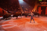Шоу Гии Эрадзе «5 континентов» в Тульском цирке: феерия уже началась!, Фото: 20