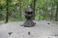 Туляки сообщают о массовой гибели уток в Платоновском парке, Фото: 9