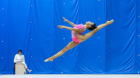 Художественная гимнастика, Фото: 106