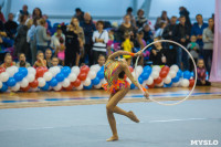 Открытый кубок региона по художественной гимнастике, Фото: 27