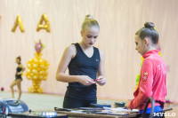 Соревнования по художественной гимнастике "Тульский сувенир", Фото: 35