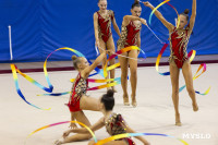 В Туле стартовало первенство Центрального федерального округа по художественной гимнастике, Фото: 5