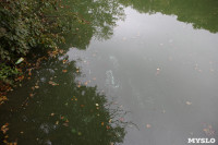 Загрязнение прудв в Платоновском парке, Фото: 3