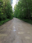 Дорога в деревню Журавка, Фото: 2