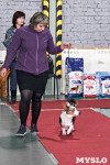 Выставка собак в Туле 26.01, Фото: 13