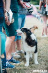 Всероссийская выставка собак в Туле, Фото: 29