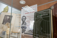 Кимовск-Донской-Новомосковск-Узловая, Фото: 46