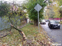 На ул. Тимирязева машина повалила дерево после ДТП с такси, Фото: 4